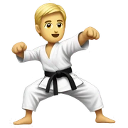 Karate sticker