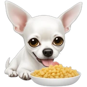 white chihuahua eating dog foot sticker