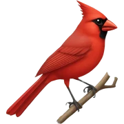 cardinal sticker