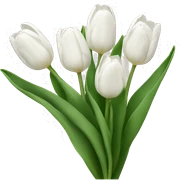 White tulips  sticker