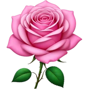 Pink sticker