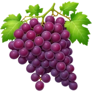 Grapes sticker