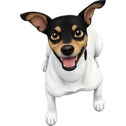 dog looking at viewer sticker