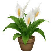 Peace lilies plant sticker