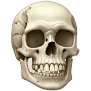 shoulder bones sticker