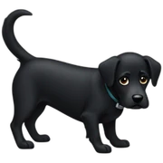 black dog sticker