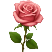 Rose sticker