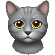 Grey cat sticker