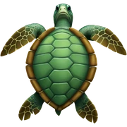 Sea turtle  sticker