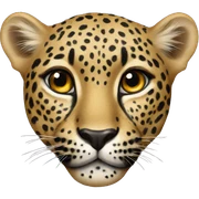 leopard heart  sticker