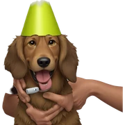 male with dog at party sticker