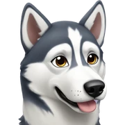 Husky sticker