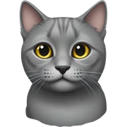 Gray British cat sticker