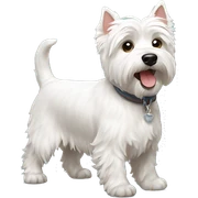 Westie sticker