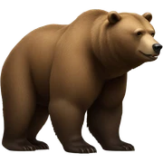 Bear sticker