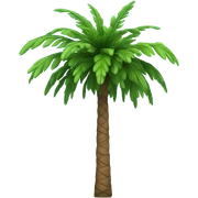 Palm tree sticker