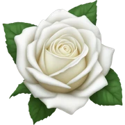 white rose sticker