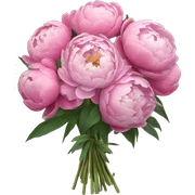 Peonies bouquet sticker