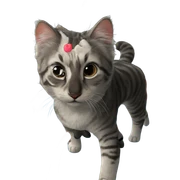 realistic cat portrait close-up sticker