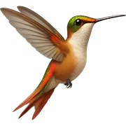 Hummingbird sticker