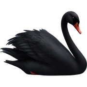 black swan sticker