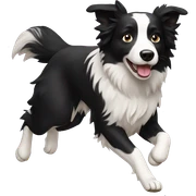 Running Border Collie sticker