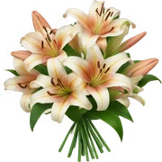 Bouquets of lilies  sticker