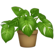 Golden pothos sticker