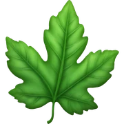 Leaf sticker