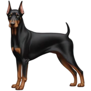 dobermann sticker