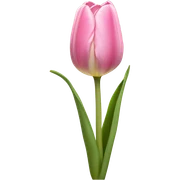  pink tulip sticker