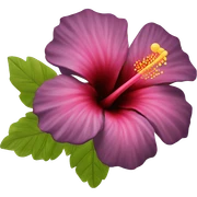 hibiscus flower sticker