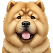 Chow chow  sticker