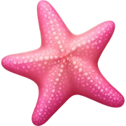 pink starfish sticker