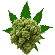 marijuana nug  sticker