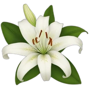 white lilies sticker