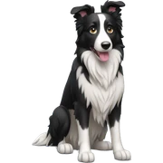 Un border collie  sticker