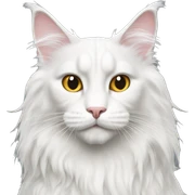 White Maine Coon sticker