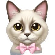 Long haired Siamese cat with pastel pink bow sticker