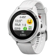 Garmin watch sticker