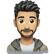 ZAYN sticker