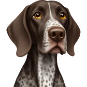 German shorthair pointer  sticker