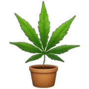 Weed sticker