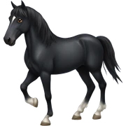 Black horse sticker
