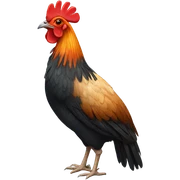 Jungle fowl  sticker