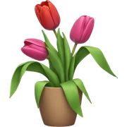 Tulips  sticker