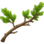 branch sticker