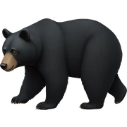 black bear symbol sticker