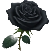 Black rose sticker
