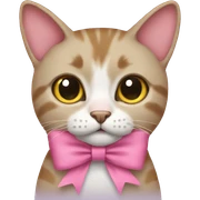 A cat wearing a pink bow  sticker
